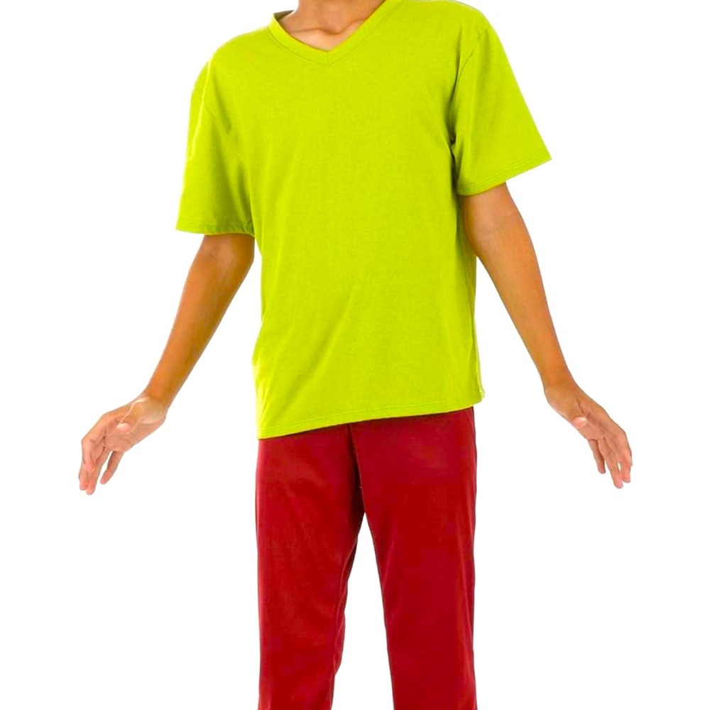 Shaggy Scooby Doo costume